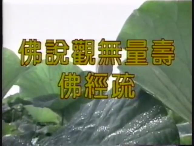 佛说观无量寿佛经疏（有字幕）